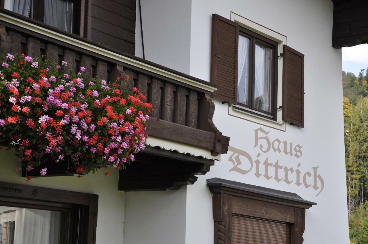 Haus Dittrich Apartment Kirchberg in Tirol Bagian luar foto